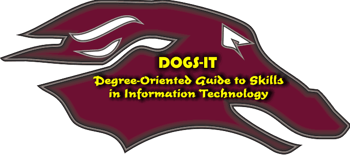 DOGS-IT: The Degree-Oriented Guide to Skills in Information Technology